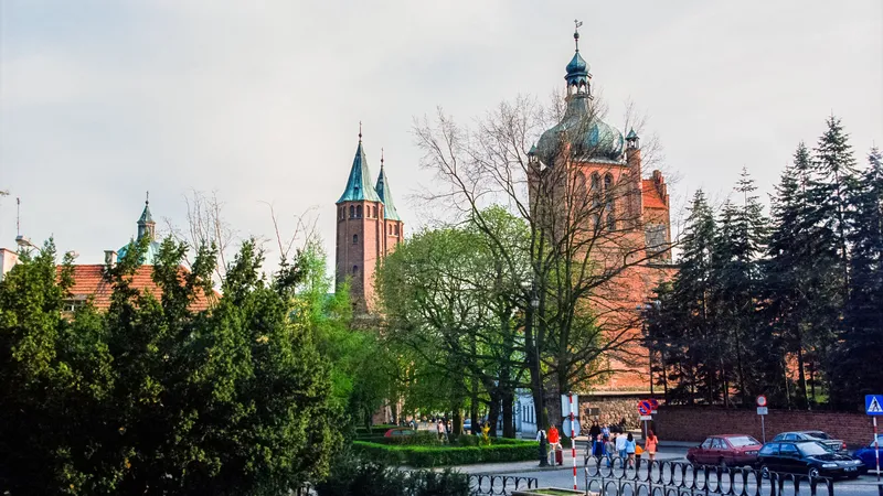 Wieże katedry na Wzgórzu Tumskim w Płocku ponad drzewami